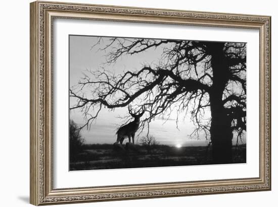 Silhouette-Gordon Semmens-Framed Giclee Print