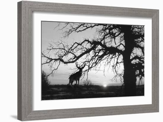 Silhouette-Gordon Semmens-Framed Giclee Print