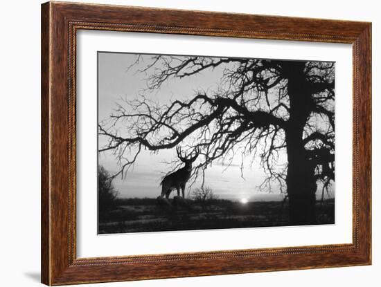 Silhouette-Gordon Semmens-Framed Giclee Print