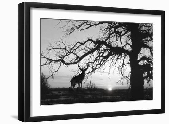 Silhouette-Gordon Semmens-Framed Giclee Print