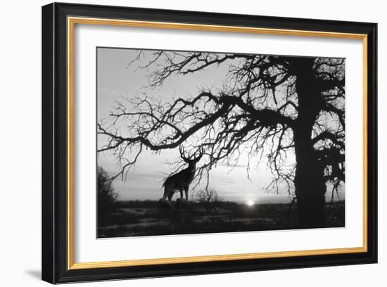 Silhouette-Gordon Semmens-Framed Giclee Print