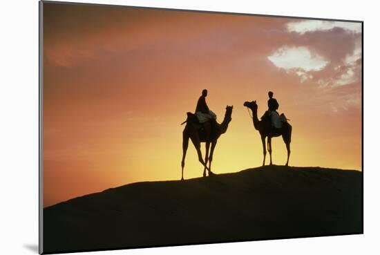 Silhouetted Camel Riders on a Sand Dune At Sunset-Tony Craddock-Mounted Photographic Print