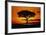 Silhouetted Camelthorn Tree at Sunset-Paul Souders-Framed Photographic Print