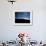 Silhouetted Cowboys During Round Up at Trinchera Ranch-Loomis Dean-Framed Photographic Print displayed on a wall