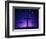 Silhouetted Crosses Against Star-Filled Sky-Chris Rogers-Framed Photographic Print