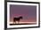 Silhouetted Dartmoor Pony (Equus Caballus) at Sunrise, Combestone Tor, Dartmoor Np, Devon, UK-Ross Hoddinott-Framed Photographic Print