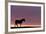 Silhouetted Dartmoor Pony (Equus Caballus) at Sunrise, Combestone Tor, Dartmoor Np, Devon, UK-Ross Hoddinott-Framed Photographic Print