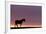 Silhouetted Dartmoor Pony (Equus Caballus) at Sunrise, Combestone Tor, Dartmoor Np, Devon, UK-Ross Hoddinott-Framed Photographic Print