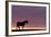 Silhouetted Dartmoor Pony (Equus Caballus) at Sunrise, Combestone Tor, Dartmoor Np, Devon, UK-Ross Hoddinott-Framed Photographic Print