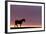 Silhouetted Dartmoor Pony (Equus Caballus) at Sunrise, Combestone Tor, Dartmoor Np, Devon, UK-Ross Hoddinott-Framed Photographic Print