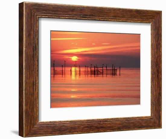 Silhouetted Fishing Net at Sunset-Lowell Georgia-Framed Photographic Print