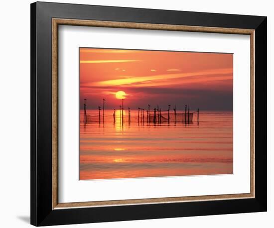 Silhouetted Fishing Net at Sunset-Lowell Georgia-Framed Photographic Print