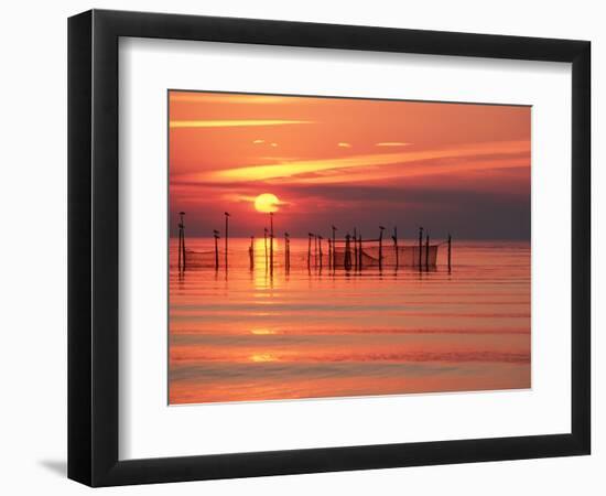 Silhouetted Fishing Net at Sunset-Lowell Georgia-Framed Photographic Print