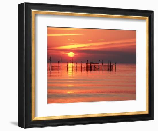 Silhouetted Fishing Net at Sunset-Lowell Georgia-Framed Photographic Print