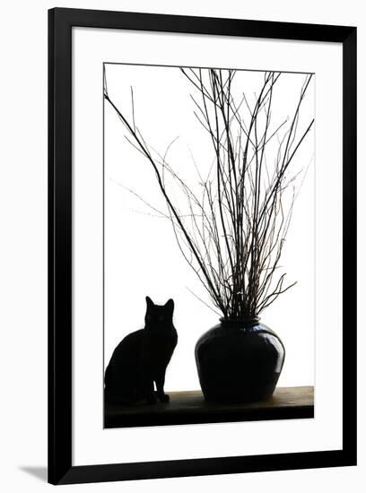 Silhouetted image of a cat by a flower pot, Los Angeles, California, USA.-Julien McRoberts-Framed Premium Photographic Print