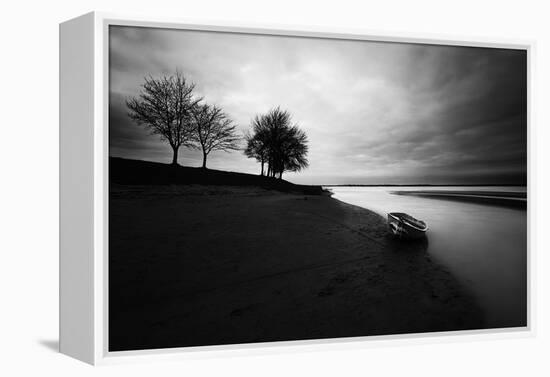 Silhouetted Nature-David Keochkerian-Framed Stretched Canvas