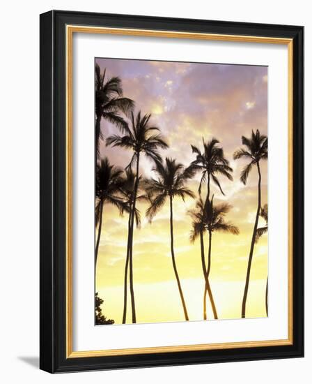 Silhouetted Palms at Sunset, Kamaole Park 1, Maui, Hawaii, USA-Darrell Gulin-Framed Photographic Print