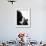 Silhouetted Profile of Photographer Alfred Eisenstaedt with a Camera-Alfred Eisenstaedt-Framed Premium Photographic Print displayed on a wall