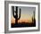 Silhouetted Saguaro Cactus at Sunset in Saguaro Np, Arizona, USA-Philippe Clement-Framed Photographic Print