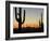 Silhouetted Saguaro Cactus at Sunset in Saguaro Np, Arizona, USA-Philippe Clement-Framed Photographic Print