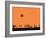 Silhouettes and Gulls 4-Adrian Campfield-Framed Giclee Print