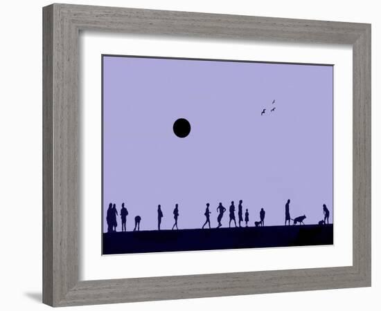 Silhouettes and Gulls 8-Adrian Campfield-Framed Giclee Print