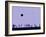 Silhouettes and Gulls 8-Adrian Campfield-Framed Giclee Print