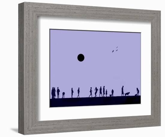 Silhouettes and Gulls 8-Adrian Campfield-Framed Giclee Print