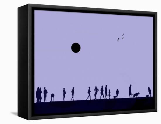 Silhouettes and Gulls 8-Adrian Campfield-Framed Premier Image Canvas