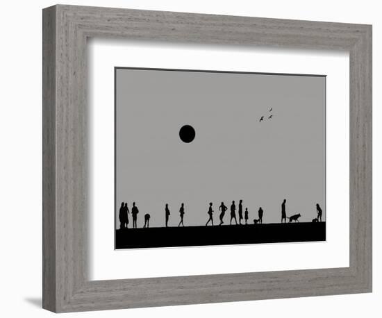 Silhouettes and Gulls 9-Adrian Campfield-Framed Giclee Print