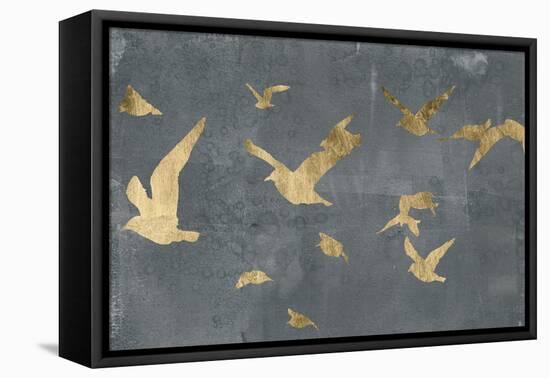 Silhouettes in Flight III-Jennifer Goldberger-Framed Stretched Canvas