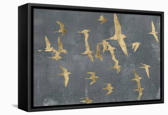 Silhouettes in Flight IV-Jennifer Goldberger-Framed Stretched Canvas