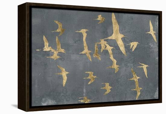Silhouettes in Flight IV-Jennifer Goldberger-Framed Stretched Canvas