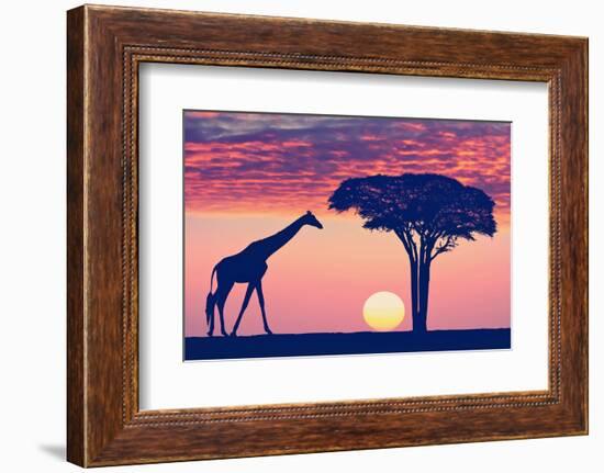 Silhouettes of Giraffe and Acacia Tree against the Beautiful Sunset Sky in the Serengeti Park. Tanz-Protasov AN-Framed Photographic Print