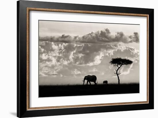 Silhouettes of Mara-Mario Moreno-Framed Art Print