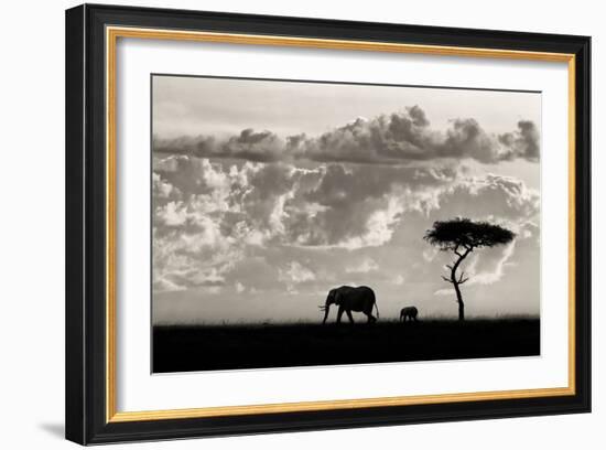 Silhouettes of Mara-Mario Moreno-Framed Art Print