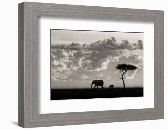 Silhouettes of Mara-Mario Moreno-Framed Photographic Print