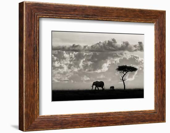 Silhouettes of Mara-Mario Moreno-Framed Photographic Print