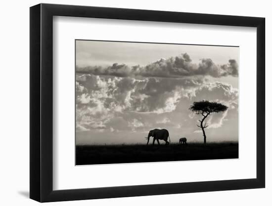 Silhouettes of Mara-Mario Moreno-Framed Photographic Print