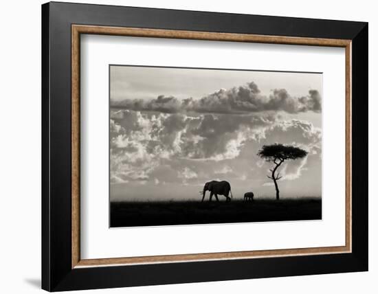 Silhouettes of Mara-Mario Moreno-Framed Photographic Print