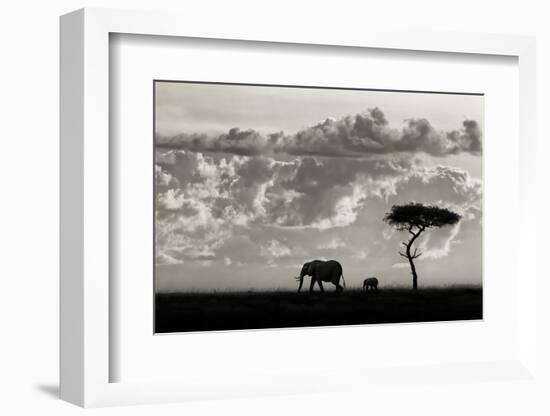 Silhouettes of Mara-Mario Moreno-Framed Photographic Print