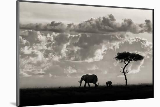 Silhouettes of Mara-Mario Moreno-Mounted Photographic Print