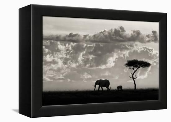 Silhouettes of Mara-Mario Moreno-Framed Premier Image Canvas