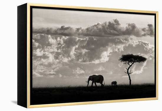 Silhouettes of Mara-Mario Moreno-Framed Premier Image Canvas