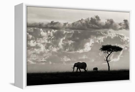 Silhouettes of Mara-Mario Moreno-Framed Premier Image Canvas