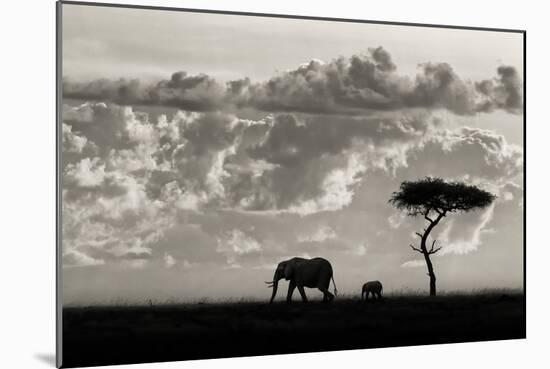 Silhouettes of Mara-Mario Moreno-Mounted Photographic Print