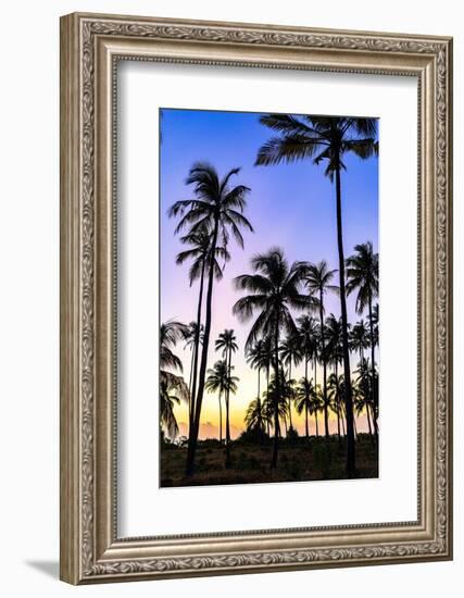 Silhouettes of palm trees under the romantic sky at dawn, Zanzibar, Tanzania-Roberto Moiola-Framed Photographic Print