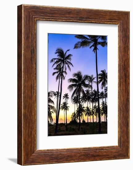 Silhouettes of palm trees under the romantic sky at dawn, Zanzibar, Tanzania-Roberto Moiola-Framed Photographic Print