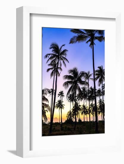 Silhouettes of palm trees under the romantic sky at dawn, Zanzibar, Tanzania-Roberto Moiola-Framed Photographic Print