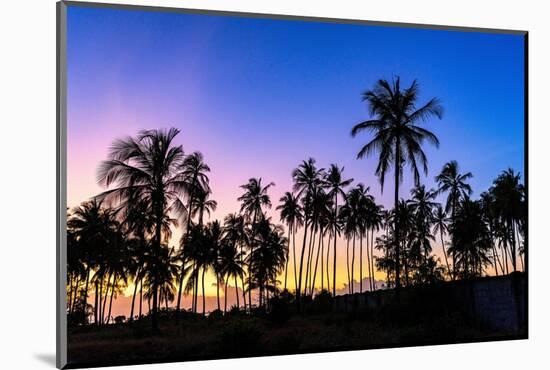 Silhouettes of palm trees under the romantic sky at dawn, Zanzibar, Tanzania-Roberto Moiola-Mounted Photographic Print